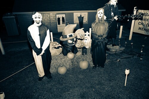 Terrifying Haunted  House And Maze Attractions image