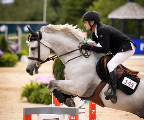 Summer’s Best Day Out | FEI CSI3* Grand Prix