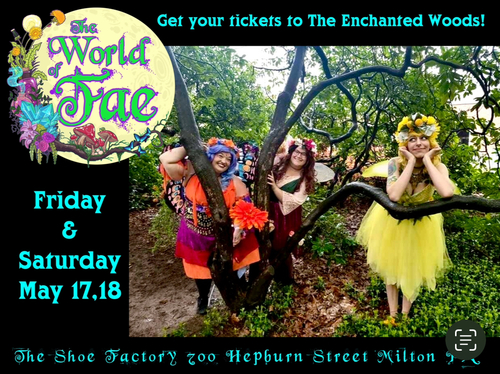 The World of Fae Enchanted Woods 2024  - Daytime $15 - Nighttime $25 poster