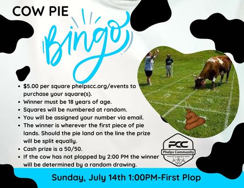 Cow Pie Bingo Fundraiser @ Family Fun Day poster