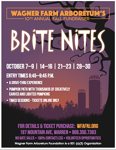 Brite Nites 2021 poster