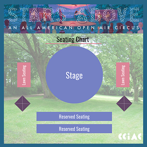 Circus in the Park: The Stars Above poster