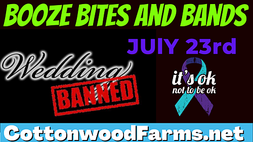 2022 Booze Bites & Bands Event - Wedding Banned image