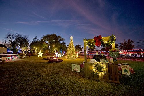 Lights on the Farm 2023 image