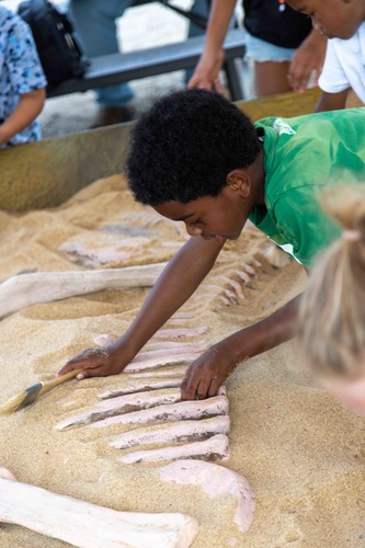 Dino Outbreak on the Farm  image