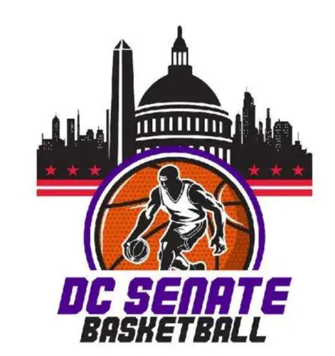 DC Senate battles Edgewood 96ers in high-flying ABA showdown! poster