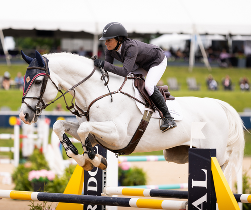 Saturday Show Jumping Spectacular in Traverse City image