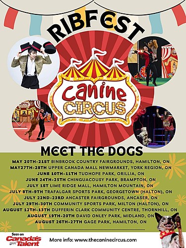 Northern Heat Rib Series Fun Zone: New Market poster