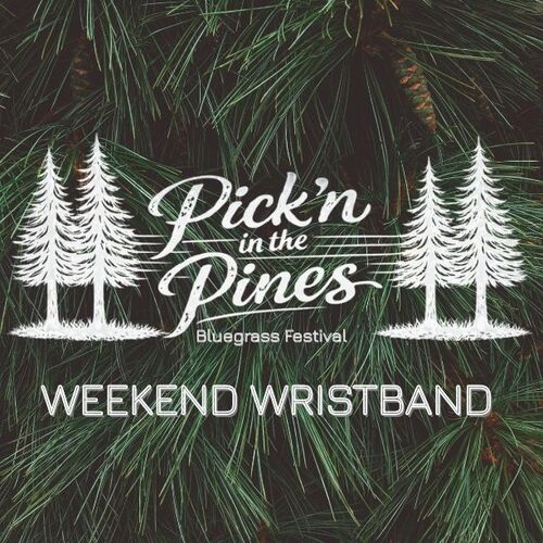 Pick'n in the Pines Bluegrass Festival poster