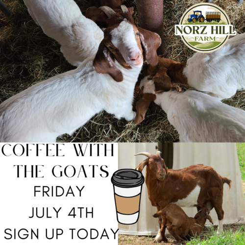 Coffee with the Goats poster
