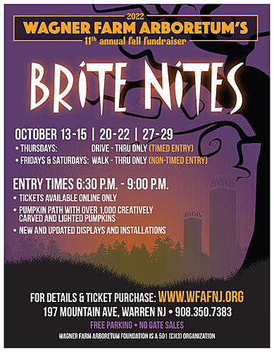 Brite Nites 2022 poster