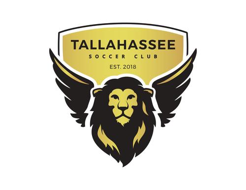 TLHSC vs AFC Mobile poster