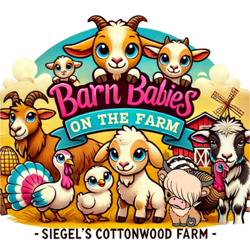 Barn Babies at Siegel's Cottonwood Farm 2025 poster