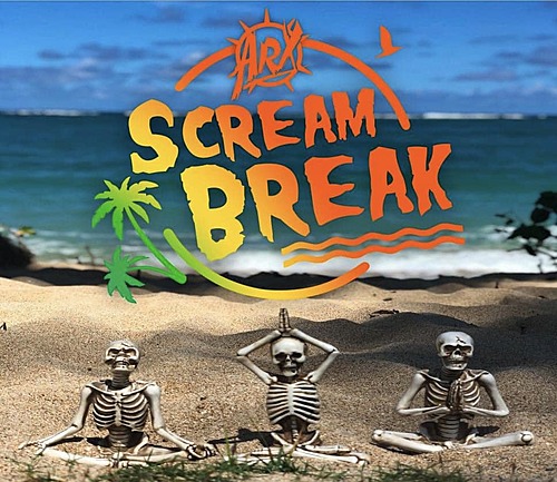 SCREAM BREAK 2024 poster