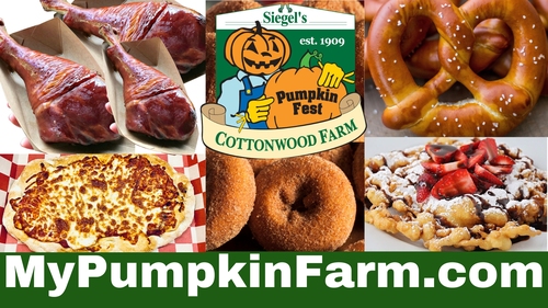 Pumpkin Fest 2026 image