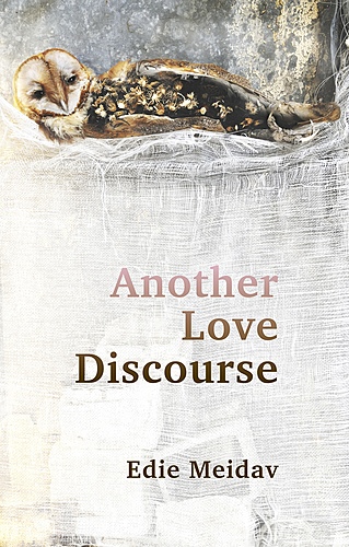 Edie Meidav w/Carolyn Cooke / Another Love Discourse poster
