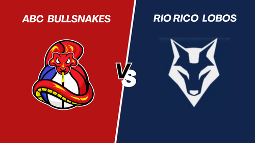 (1/3/26) NEW MEXICO ABC BULLSNAKES VS RIO RICO LOBOS poster