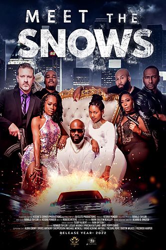 Meet The Snows poster