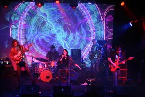 Pete Sawyer & the Left Handed Monkey Wrench Band  poster