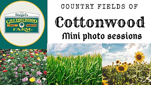 Country Fields of Cottonwood Mini Photo Sessions image
