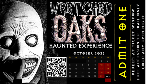 Cast training day poster