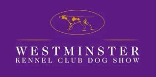 THE WESTMINISTER KENNEL CLUB   DOG SHOW 2025 poster