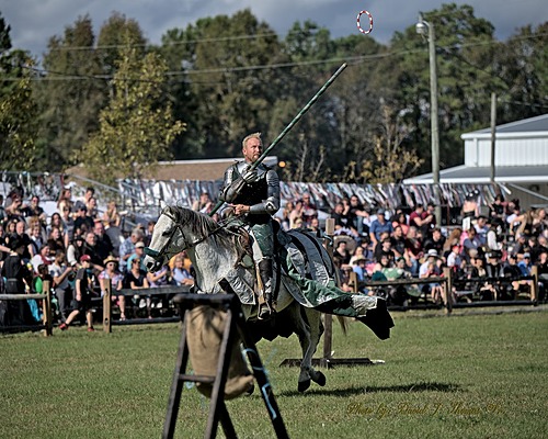 Mythical & Medieval Fest 10th year poster