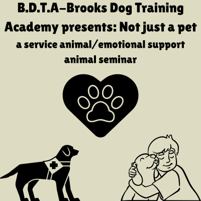 Not Just a Pet: The Roles of Service Dogs, ESAs, & Therapy Dogs poster