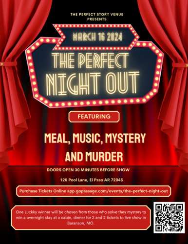 The Perfect Night Out poster