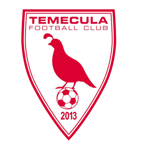 Temecula FC vs LA poster