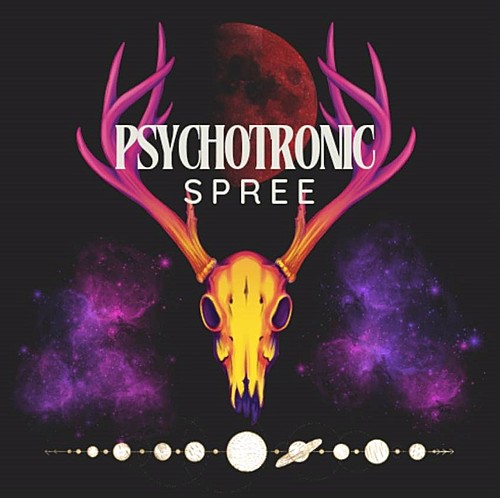 Pyschotronic Spree poster