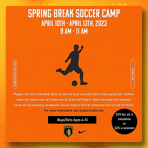 Academica Spring Break Soccer Camp poster