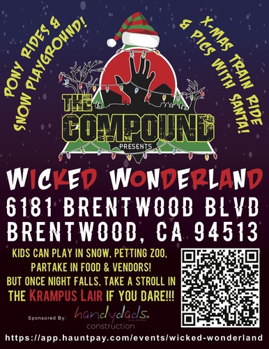 Wicked Wonderland  poster