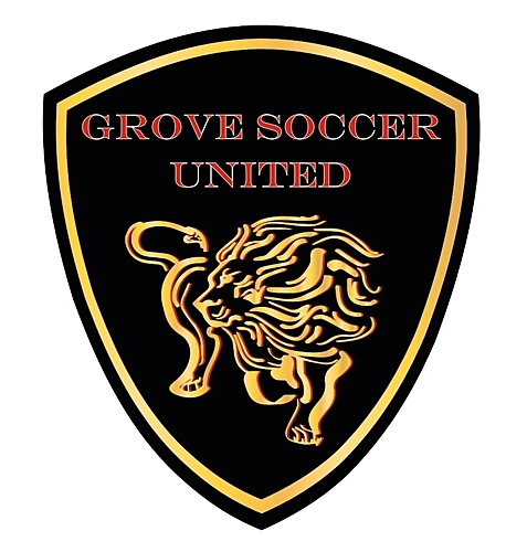 Grove Soccer United vs Virginia Beach City FC poster