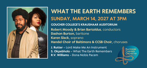 WHAT THE EARTH REMEMBERS poster