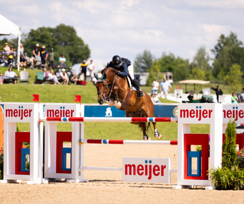Where Championship Show Jumping Meets Northern Michigan’s Best | Meijer CSI3* Grand Prix image