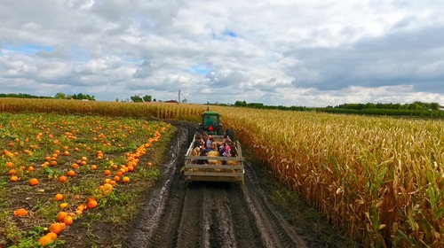 Fall Educational Field Trips image