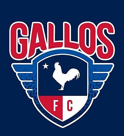 Gallos FC vs. Denton Diablos FC poster