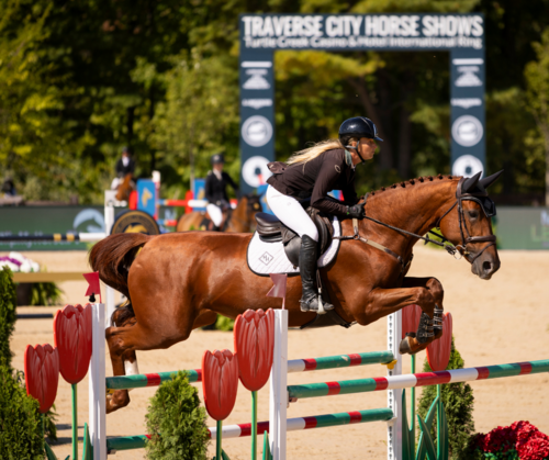 Elite Team Show Jumping | CSI5* Major League Show Jumping image