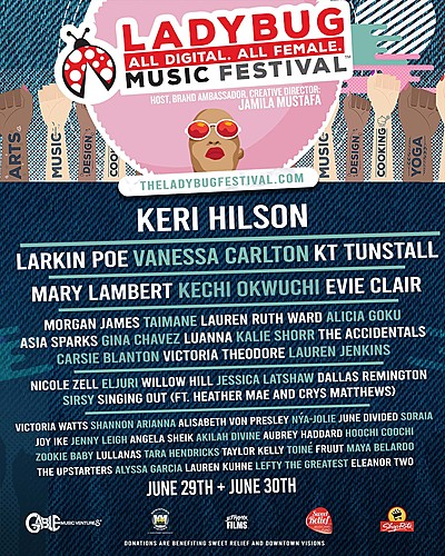 The Ladybug  Festival  poster