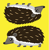 DIF - 8/7/19 - Ringwald - 8:00pm (Cougar Den, Funny Girls, Hedgehogs Dilemma, Before Ghosts, Wieck and Petersen) poster