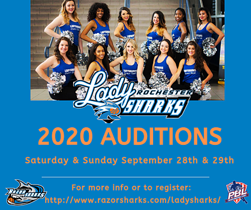 Rochester LadySharks 2020 Auditions  poster
