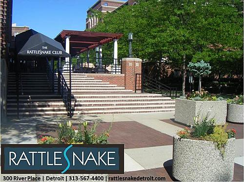 Rattlesnake Gift Cards image
