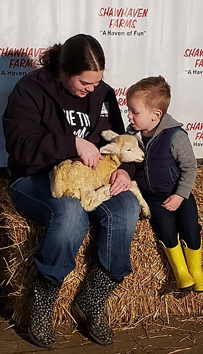 Spring on the Farm poster