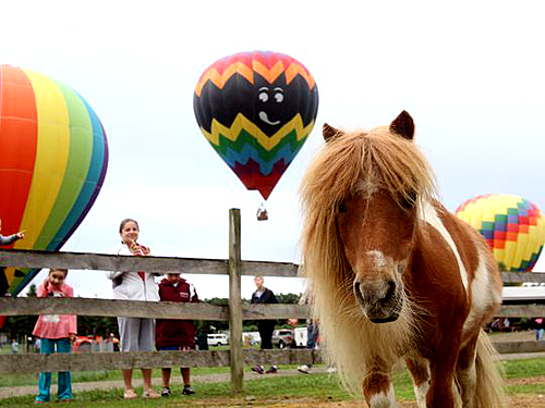 2017 Hudson Valley Hot-Air Balloon Festival image