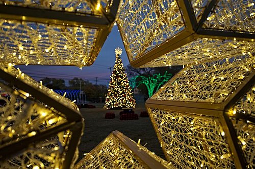 Lights on the Farm 2023 image