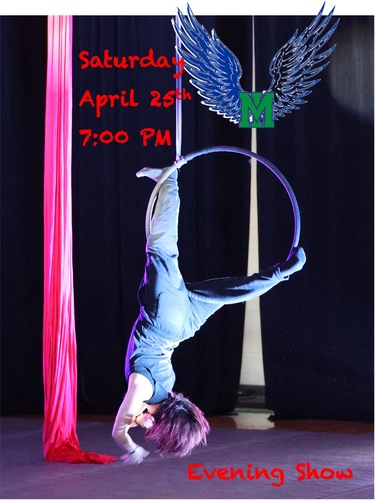 MICS Aerial Show 2026: A Soaring of Raptors, an Evening Celebration poster