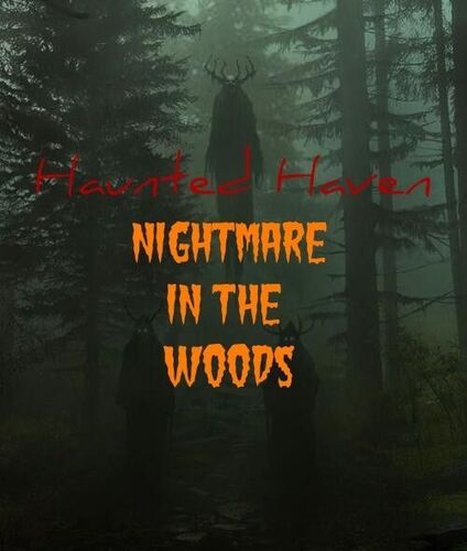 2025 Haunted Haven Slash Pass poster