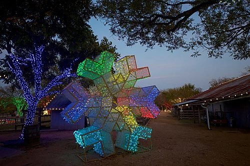 Lights on the Farm 2023 image