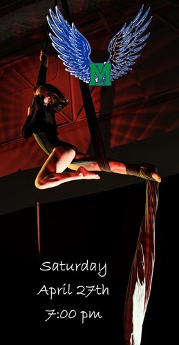 MICS Aerial Show 2024: Experience A Flight of Raptors poster